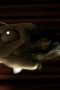 8b1877544d26f7f2b6519a7d557a304d.jpeg